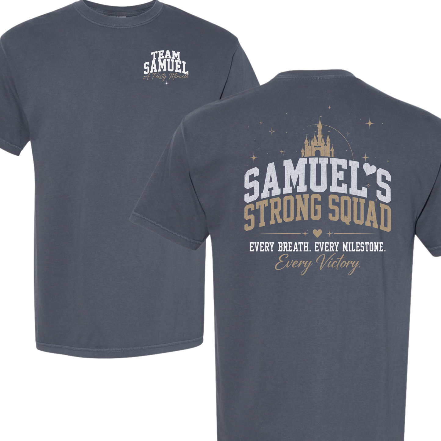 Team Samuel Castle Design