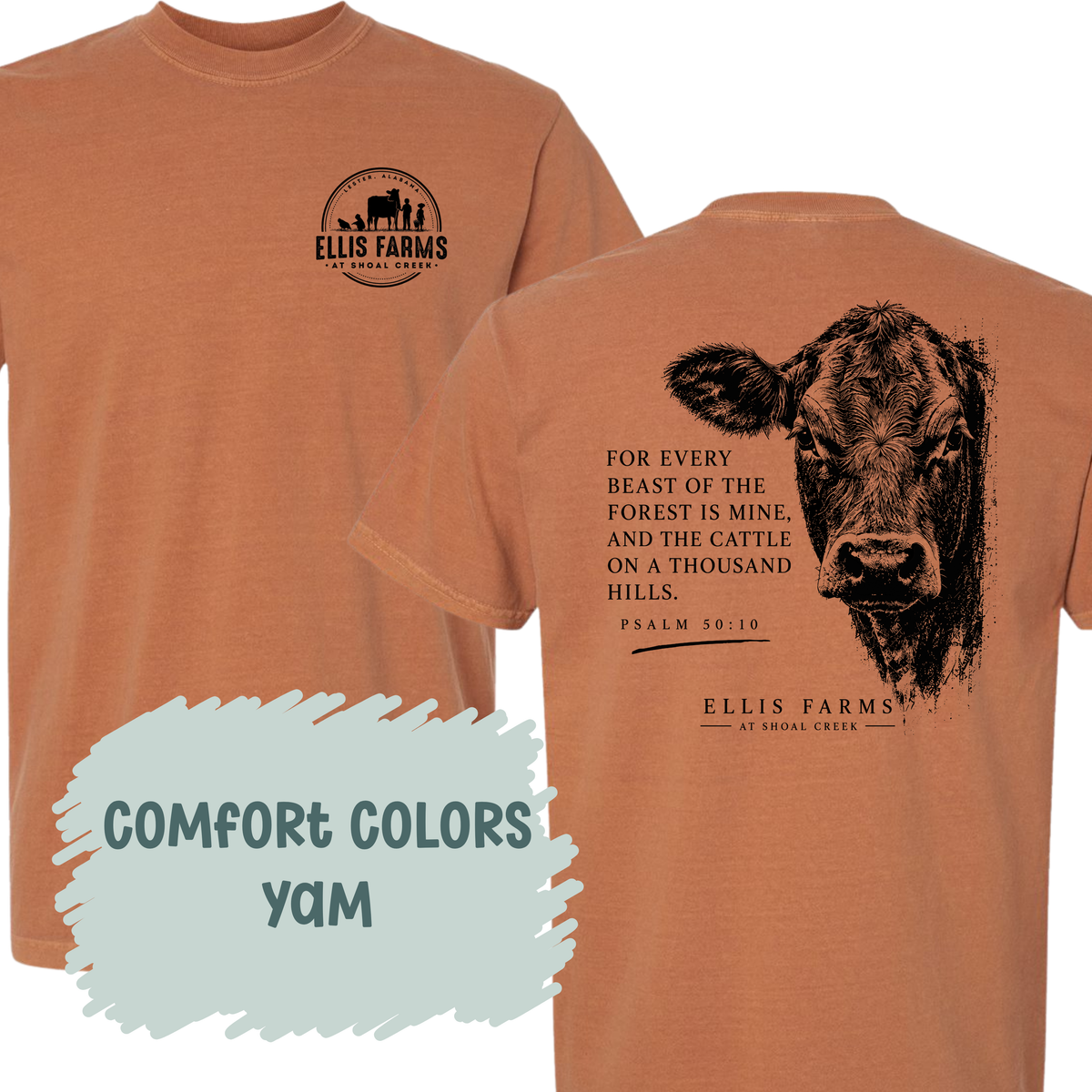 Vintage Cattle - Ellis Farms