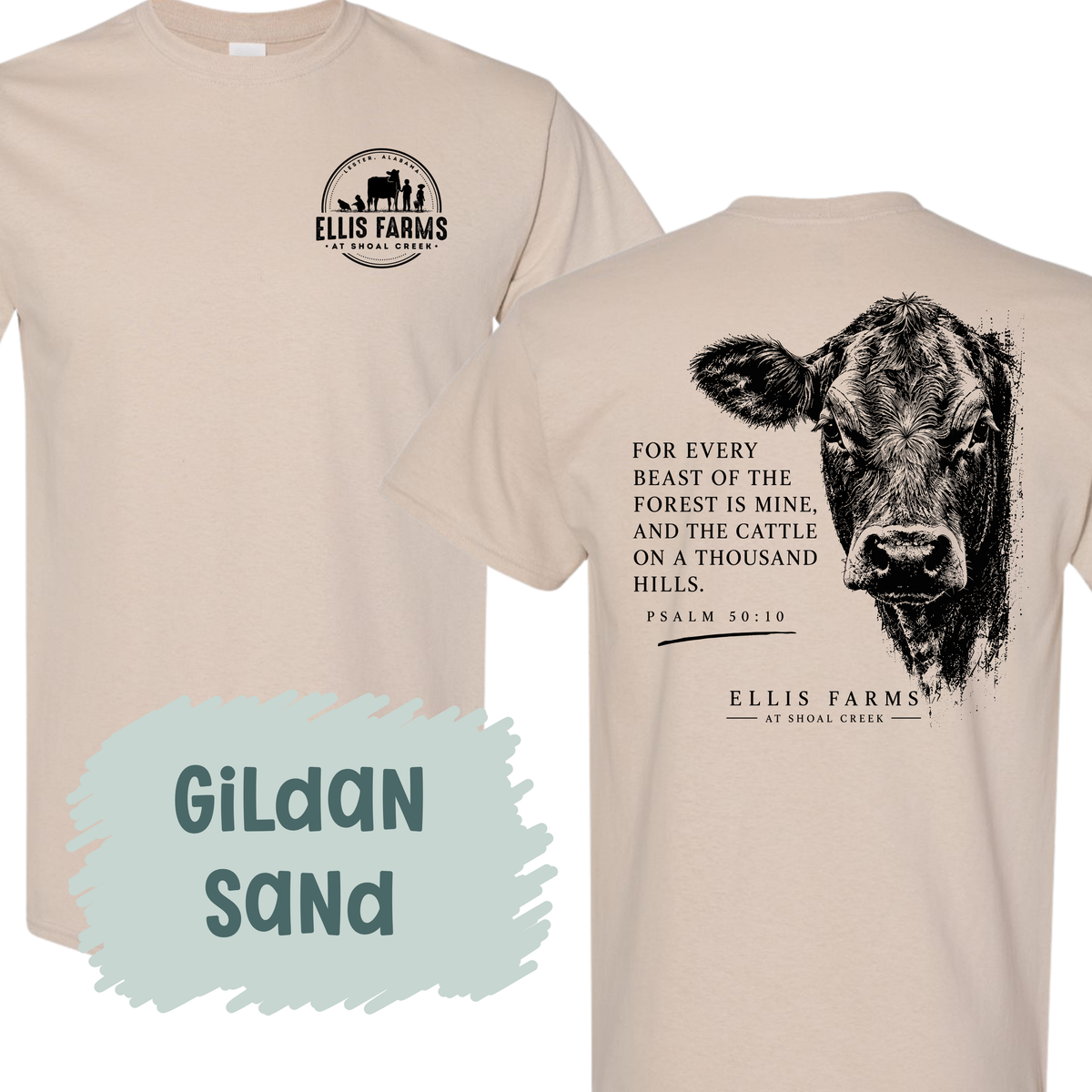 Vintage Cattle - Ellis Farms